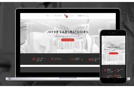 Web Design for Laboratory
